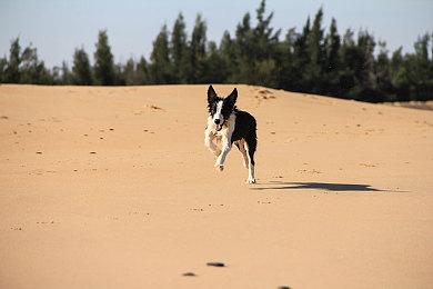 《迷宫贩》登陆Steam 魔王城百货店经营